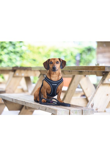 Köpek Göğüs Tasması, Neopren, Siyah, S, 38-44CM Ferrg