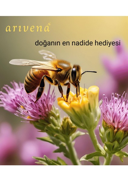 Hizan Seçme Kovan Balı %100 Saf ve Doğal