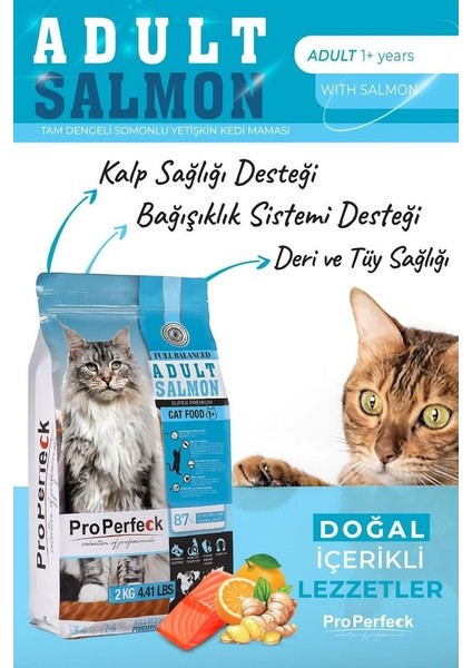 Yetkili Satıcı - Premium Yetişkin Somonlu Portakallı Kedi Maması 10 kg