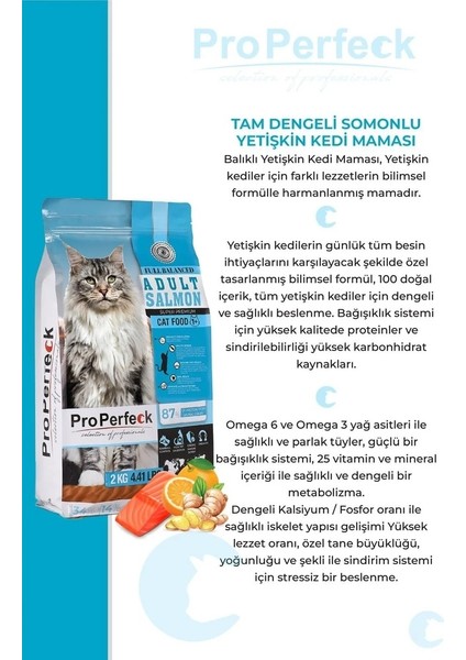 Yetkili Satıcı - Premium Yetişkin Somonlu Portakallı Kedi Maması 10 kg