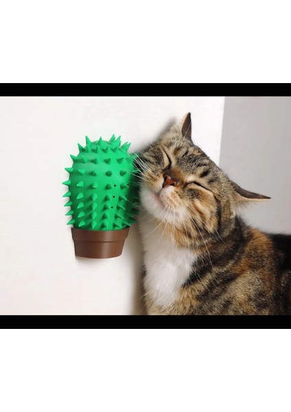 Kedi Kaşınma ve Sürtünme Aparatı Kaktüs