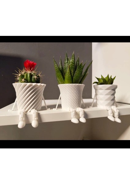 Mini Kaktüs/sukulent Saksı Seti Beyaz (Kaktüsler Dahil Değildir)