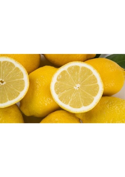 Su Bazlı Aroma Verici Limon 250 gr fiyatları