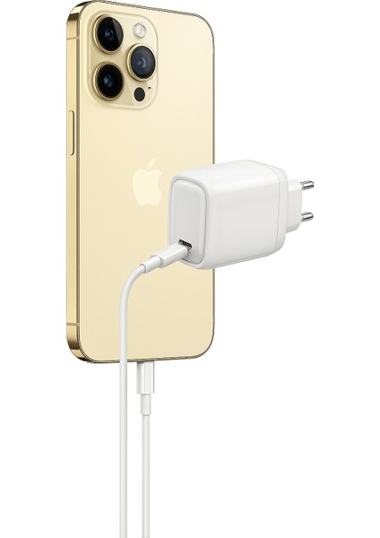Iberry 20W Iphone 11 - 12 -13- 14 Pro ve Promax Hızlı Sarj Seti