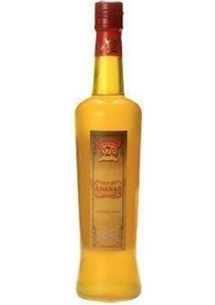 Ananas Şurubu 75 cl