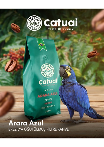 Premium Arara Azul Filtre Kahve Öğütülmüş