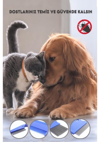 4'lü Kedi Köpek Bit Tarak Seti Arayüz/ince/dar/lavra Bit Tarağı Seti fiyatları