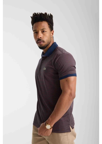 Polo Yaka Kahverengi Regular Fit