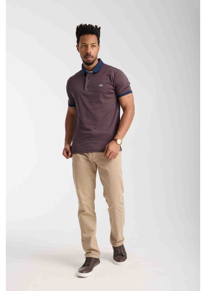 Polo Yaka Kahverengi Regular Fit