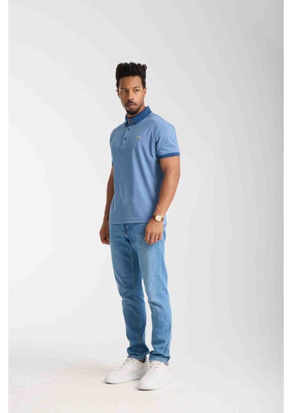 Polo Yaka Regular Fit Mavi Çizgili