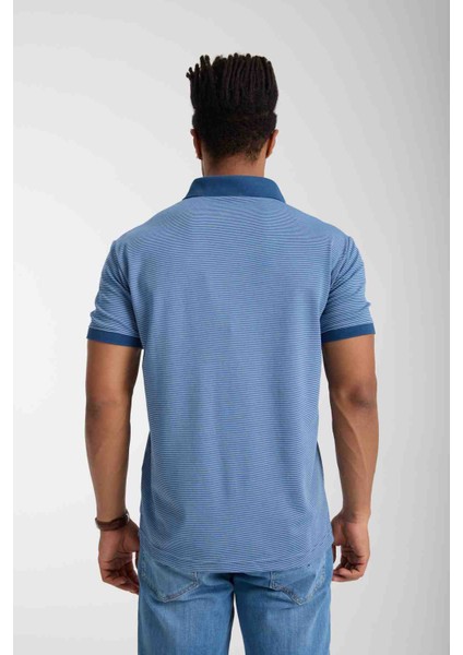 Polo Yaka Regular Fit Mavi Çizgili modelleri