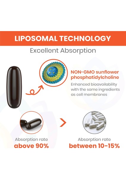 Liposomal Fisetin Delivery,98% Pure Fisetin,polyphenol Antioxidant For Healthy Aging,non-Gmo - 1500 mg 60 Softgels.abd Menşei fırsatları