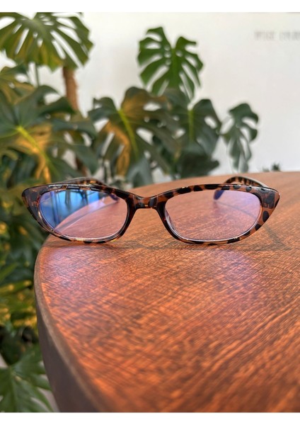 Aventino Leopar Cat Eye Küçük Çekik Minik Retro Mavi Işık Korumalı Gözlük Ekran Gözlük modelleri