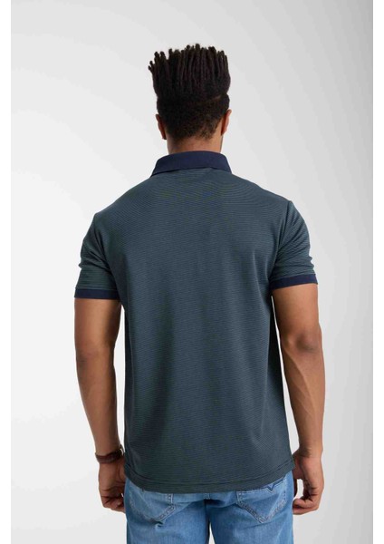 Polo Çizgili Nefti Regular Fit