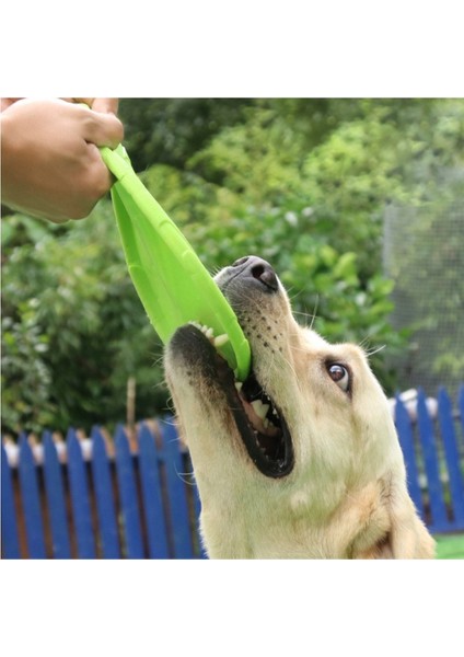 Silikon Frizbi Köpek Oyuncağı