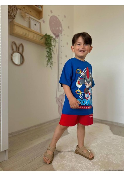 Erkek Çocuk Sonic Baskılı Şortlu Takım fiyatları