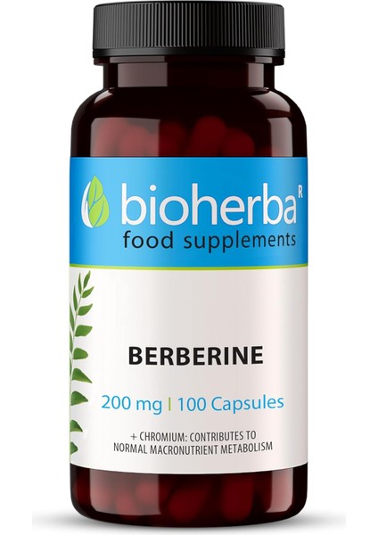 Berberine Antioxidant(Antioksidan) 200 mg 100 Caps