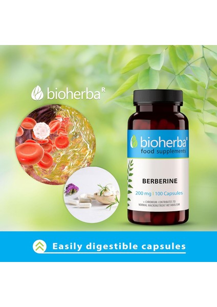 Berberine Antioxidant(Antioksidan) 200 mg 100 Caps fiyatları