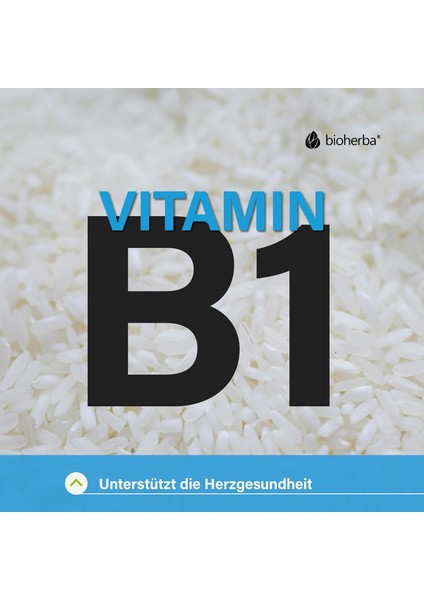 Nattokinase Vitamin B1 Thiamin 100 mg 100 Caps