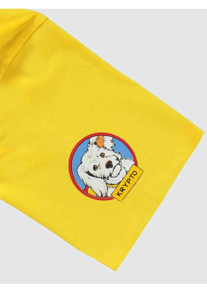 Erkek Çocuk Tişört 10-13 Yaş Sarı modelleri