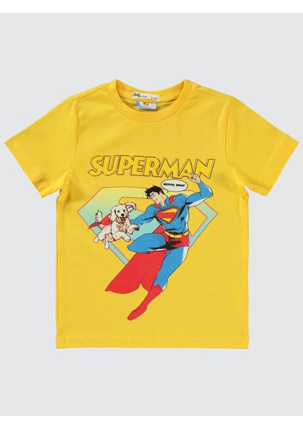 Erkek Çocuk Takım 2-5 Yaş Sarı modelleri