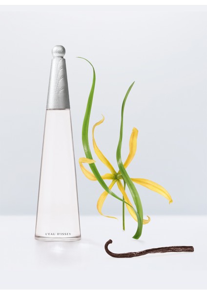 100 ml Parfüm fiyatları