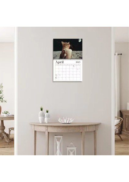 2025 Kedi Takvimi Komik Takvim (Yurt Dışından)