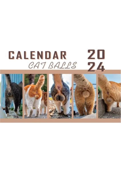 Kedi Poposu Takvimi 2024 Günlerinize Kişilik Katın (Yurt Dışından)