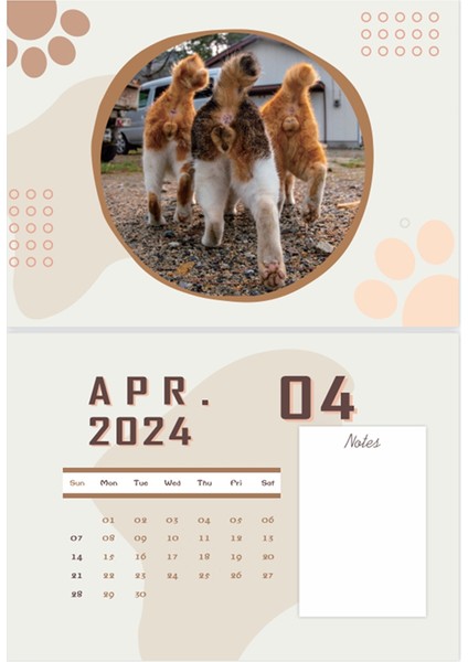 Kedi Poposu Takvimi 2024 Günlerinize Kişilik Katın (Yurt Dışından) fiyatları
