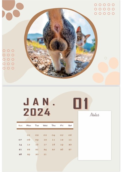 Kedi Poposu Takvimi 2024 Günlerinize Kişilik Katın (Yurt Dışından) modelleri