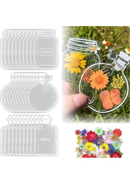 120 Adet Şeffaf Kurutulmuş Çiçek Ayraçları, El Yapımı Kendin Yap (Yurt Dışından) fiyatları