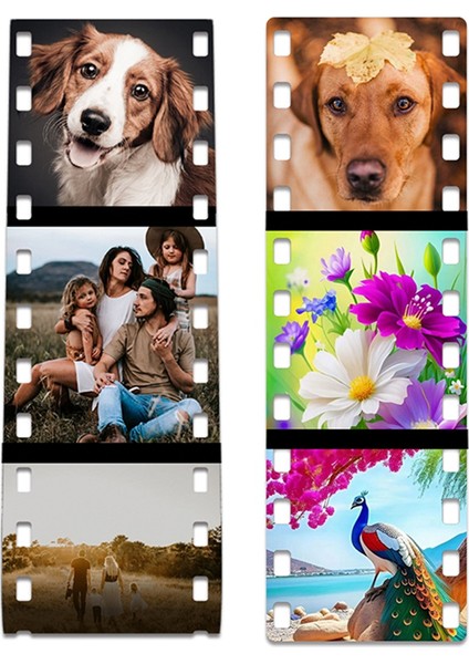 10 Paket Sublimasyon Film Boşlukları Rulo Resim Kamera Hafıza Hediyeleri (Yurt Dışından)