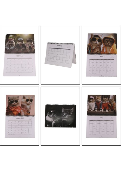 Şık Kediler Takvimi 2025 Duvar Takvimi, Komik Kedi Resimleri Kedi Takvimi (Yurt Dışından)