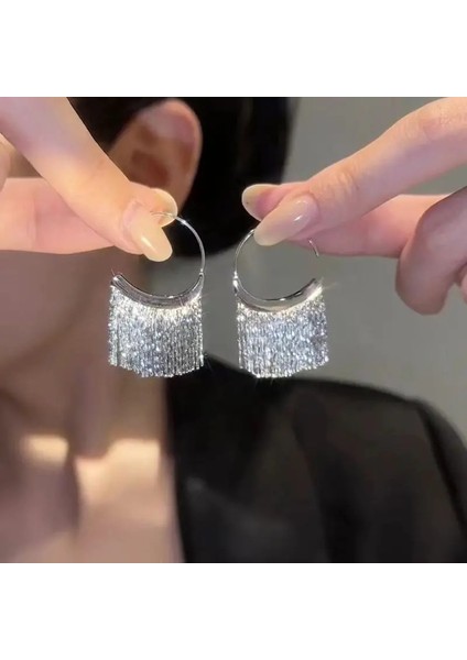 Gümüş Uzun Metal Püskül Küpe Küpe (Yurt Dışından)