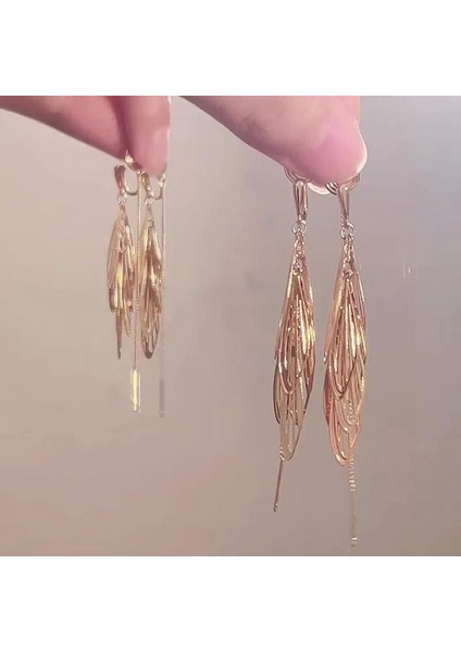 Gümüş Uzun Metal Püskül Küpe Küpe (Yurt Dışından)