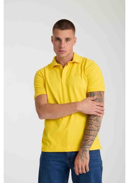 Polo Paris Regular Sarı modelleri