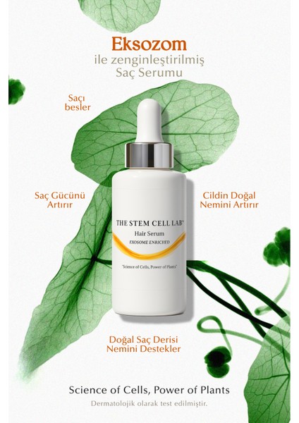 Hair Serum 50 ml
