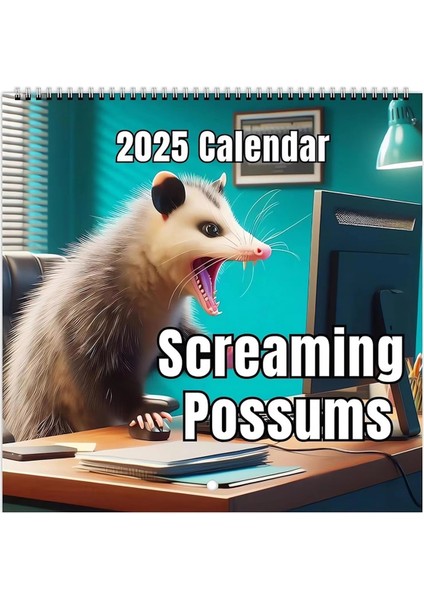 2025 Komik Opossumlar Takvimi (Yurt Dışından)