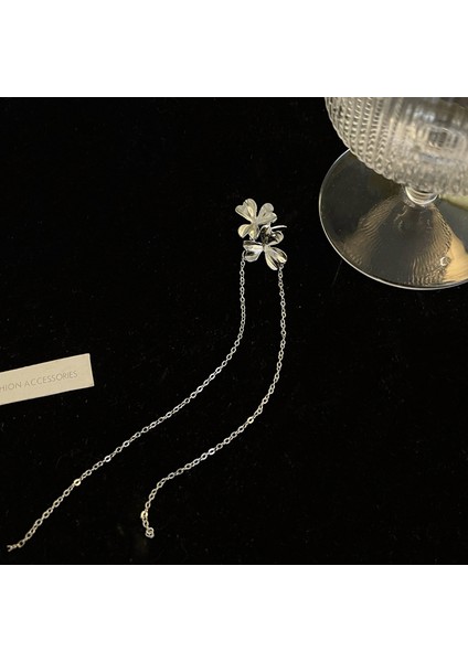 Kulak Delici Yok Kulak Klipsi Tasarımı Küpeler Kadın Uzun Püskül Zirkonya Kulak Kemiği Klipsi (Yurt Dışından)