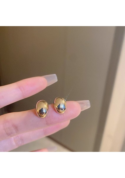 Zirkon Küpe Tasarımı Minimalist Vegan Loop Geometrik Inci Küpe (Yurt Dışından)