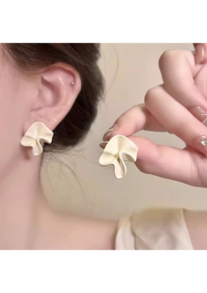 Deliksiz Kulak Klipsleri Mizaç Yüz Eşleşen Küpeler Küçük Küpeler (Yurt Dışından)