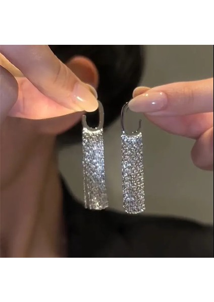 Gümüş Uzun Metal Püskül Küpe Küpe (Yurt Dışından)