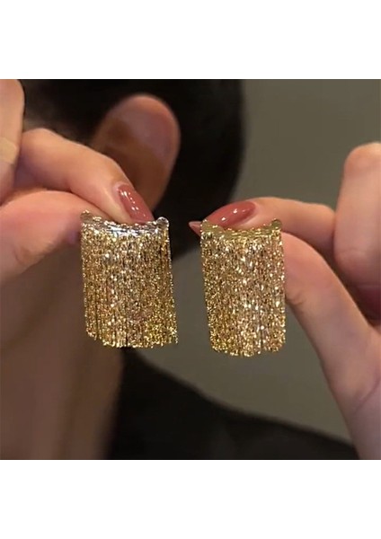 Gümüş Uzun Metal Püskül Küpe Küpe (Yurt Dışından)