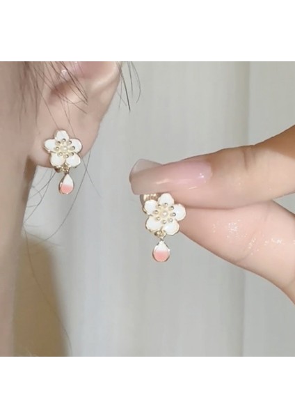 Deliksiz Kulak Klipsleri Mizaç Yüz Eşleşen Küpeler Küçük Küpeler (Yurt Dışından)