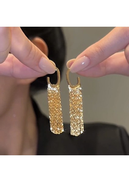 Gümüş Uzun Metal Püskül Küpe Küpe (Yurt Dışından)