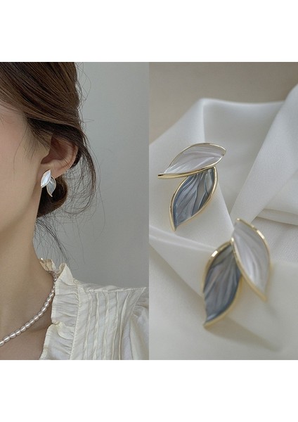 Zirkon Küpe Tasarımı Minimalist Vegan Loop Geometrik Inci Küpe (Yurt Dışından)