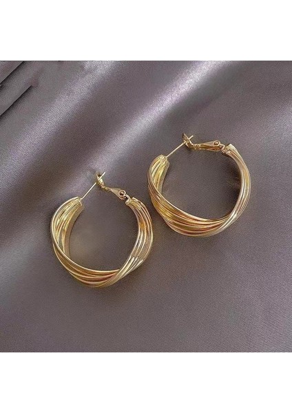 Zirkon Küpe Tasarımı Minimalist Vegan Loop Geometrik Inci Küpe (Yurt Dışından)