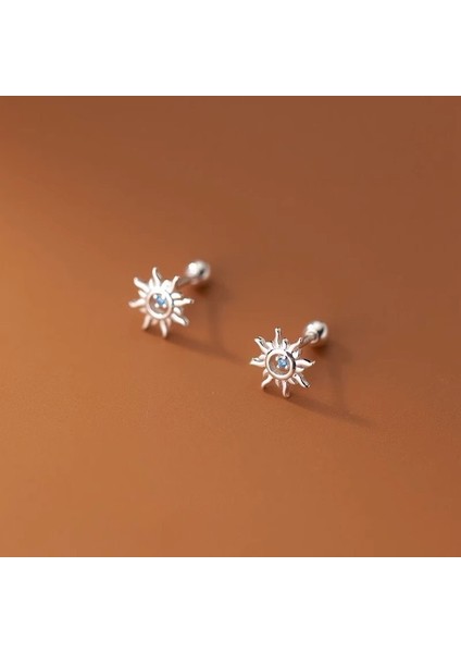 Küpe Erkek S925 Gümüş Küpe Vintage Küpe (Yurt Dışından)