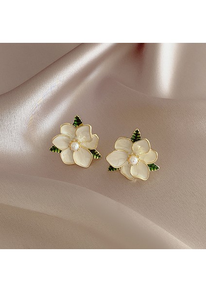 Kulak Deliksiz Kulak Klipsleri Mizaç Küpeleri Fransız Retro Inci Küpeler (Yurt Dışından)