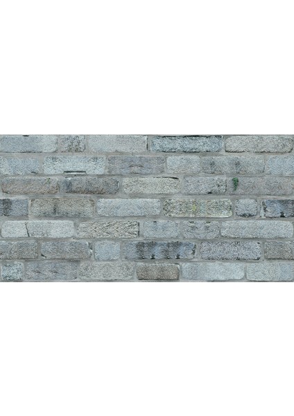 Taş Desen Strafor Panel 100X50 cm - Model A-201